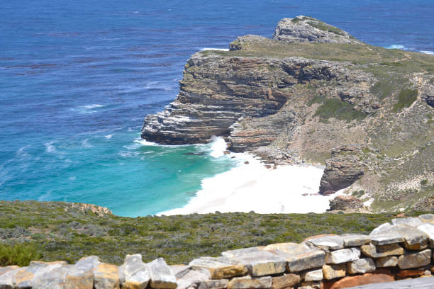 istock Dias Beach Viewed from Walking Path of Cape Point Nature Reserve 1471744806