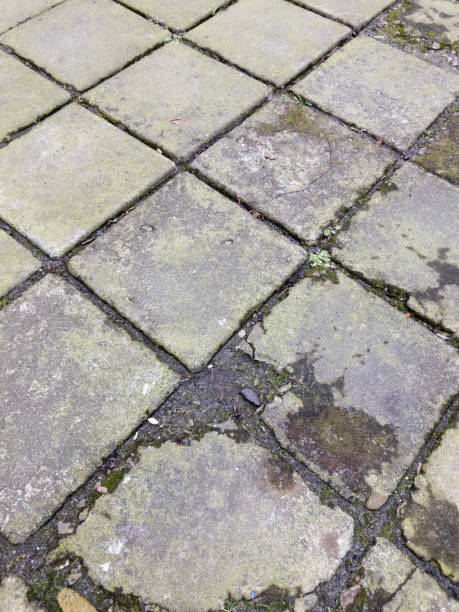 istock Old cracked paving slabs with green grass. 1471749329