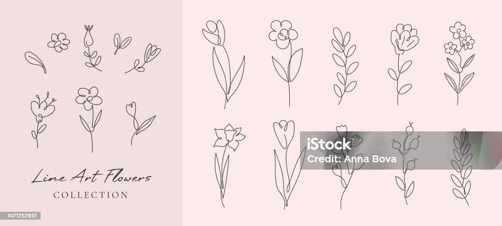 Flowey Line Design Vector Set Flowers And Branches In Simple Minimalist Continuous Outline ...