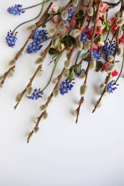 istock colorful Easter eggs, willow twigs and spring flowers 1471764715