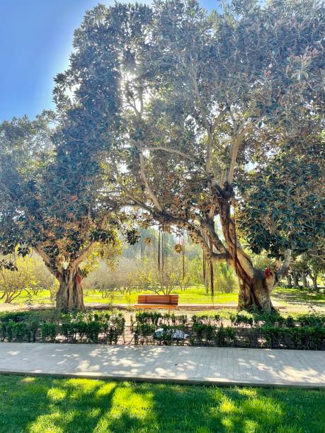 istock Rabat, Morocco - Benches & Trees at the Botanic Gardens 1471766965