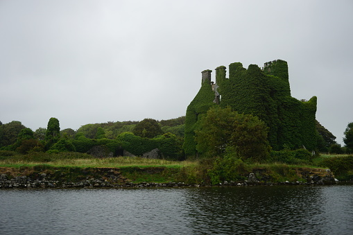 Castle ruins covered in ivy along a riverbed in the Ireland countryside photographed during the summer on an overcast day