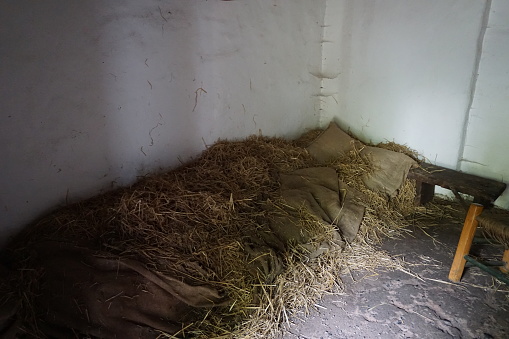 A bed mattress of hay found in Ireland photographed inside a hut