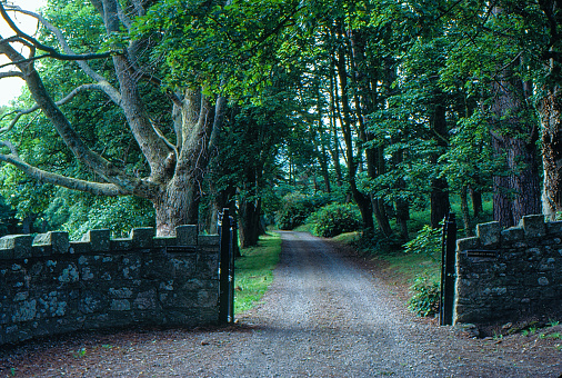 1980s old Positive Film scanned, the view of country road - beautiful gateway, County Wicklow, Ireland.