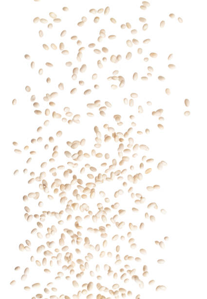 white bean fall down in group, white bean float explode, abstract cloud fly. off-white beans splash throwing in air. white background isolated high speed shutter, freeze motion - falling beans imagens e fotografias de stock