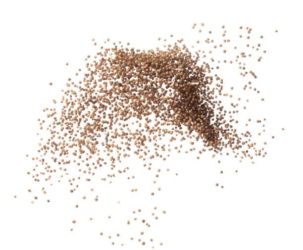 Coriander seed fly explosion, brown coriander seed float explode, abstract cloud fly. Dried coriander seeds splash throwing in Air. White background Isolated high speed shutter, freeze motion explosión de la mosca de la semilla de cilantro, explosión del flotador de semilla de cilantro marrón, mosca de nube abstracta. las semillas secas de cilantro salpican arrojando aire. fondo blanco obturador aislado de alta velocidad, movimiento congelad