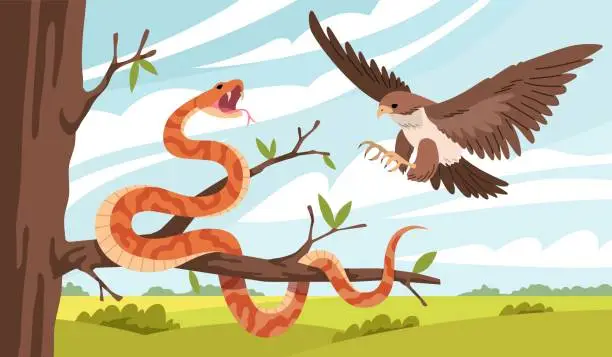 Vector illustration of Cartoon snake nature. Eagle attacks snake on tree branch, natural habitat, suitable living conditions, venomous reptile, isolated flat characters, tropical wildlife tidy vector concept
