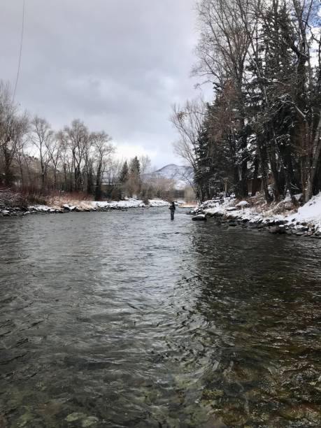 istock Solitary Fly Fishing 1471775405