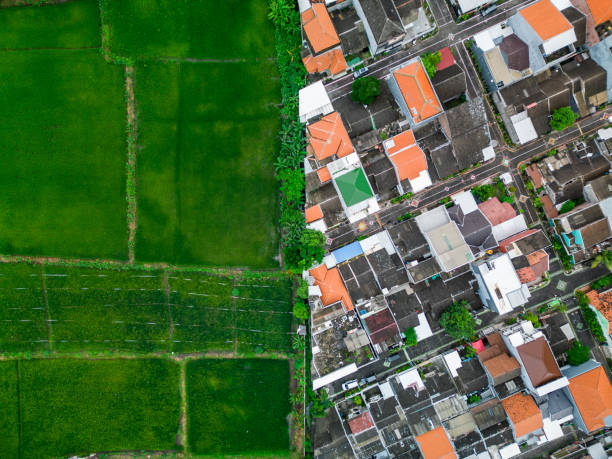 istock Urban Sprawl vs. Agricultural Land: The Conflict between Rice Fields and Housing Developments 1471776207