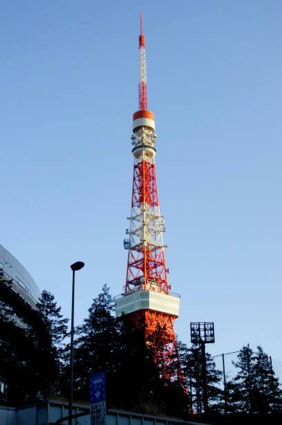 istock Distant scenery of Tokyo Tower 1471779701