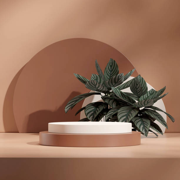 istock in square calathea pink stripe, 3d render image scene mockup white brown cylinder podium 1471782820