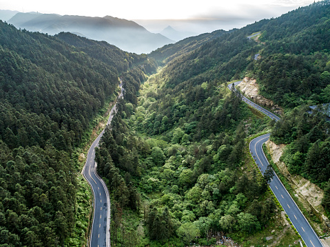 Winding mountain road, green forest aerial photography