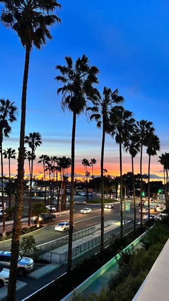 ambiente californiano - los angeles county long beach california sunset fotografías e imágenes de stock