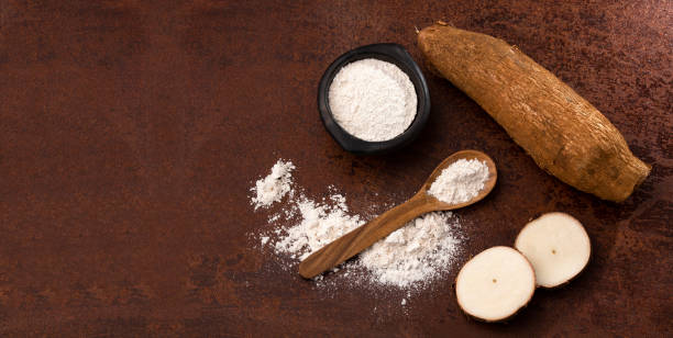 istock Manihot esculenta - Organic cassava (mandioca) starch 1471786551