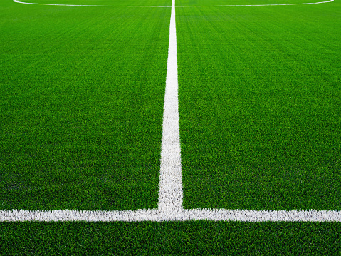 Soccer Field; Soccer; socker; Stadium; Football Field; Playing Field; Goal; Vector; Striped; Backgrounds; Grass; Gate; Directly Above; Sport; Play; Illustration; Front View; Spotted; Green Color; Midsection; Leisure Activity; football field