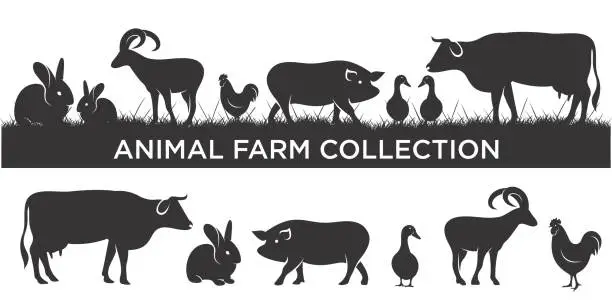 Vector illustration of set of livestock logo inspiration. Farm animal design template. Vector illustration concept