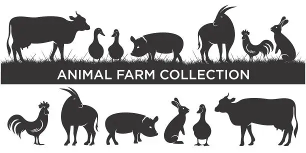 Vector illustration of livestock icon set logo inspiration. Farm animal design template. Vector illustration concept