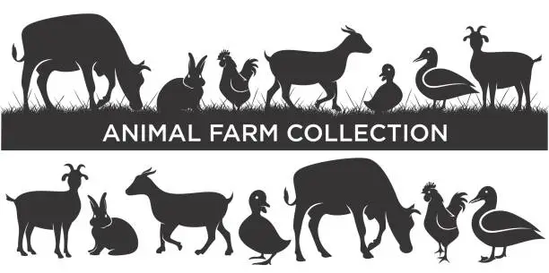 Vector illustration of set of Livestock logo with cow, chicken,goat,duck, rabbit and pig. Badge or label logo