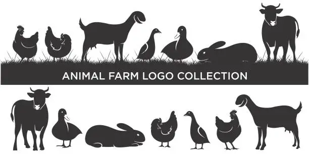 Vector illustration of set of livestock Farm animal logo inspiration, Vector illustration.