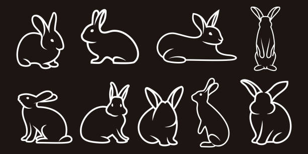 istock Set icons of line rabbits logo design Vector 1471795629
