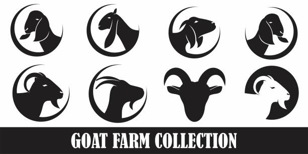 염소 머리 실루엣 로고 디자인 프리미엄 벡터 세트 - wild goat stock illustrations