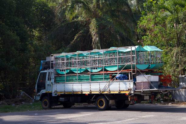 istock the truck 1471796838