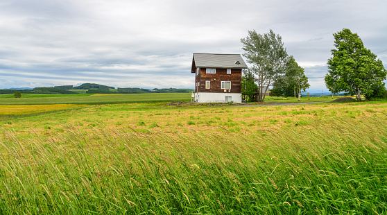 Furano, Japan - Jul 1, 2019. A wooden house with green field background at summer day in Furano, Japan.