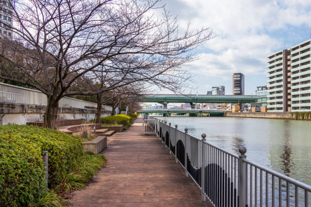 istock Walking path along the river in winter 1471797954
