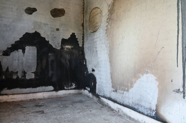 istock old scary interior burn house, cement wall and wood floor 1471800682