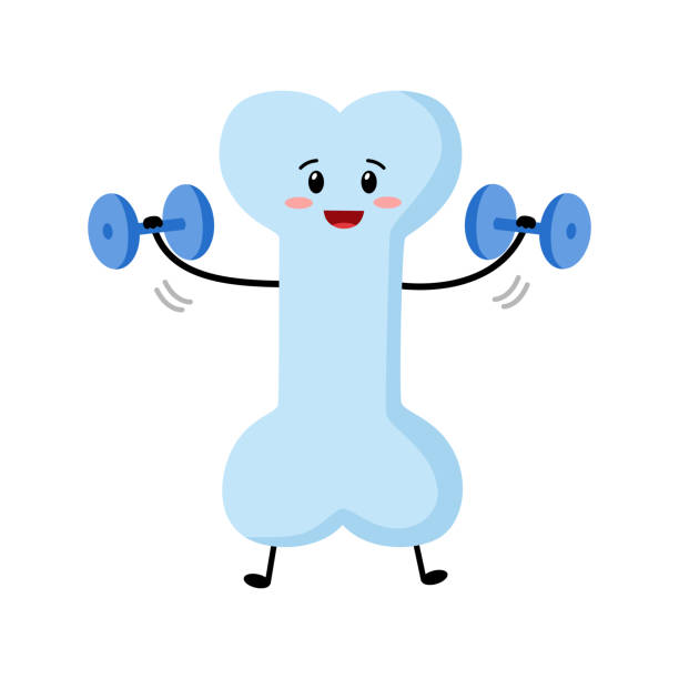 Cute healthy bone cartoon character with dumbbells in flat design on white background. vector art illustration