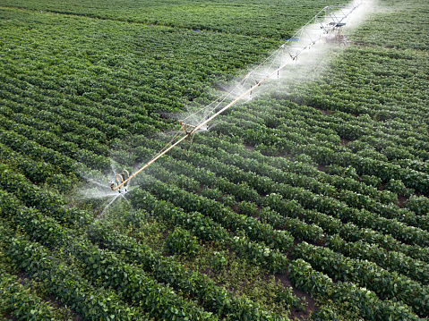 Irrigation system watering crops in the Fassifern Valley near Boonah, Queensland, Australia