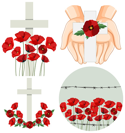 Set of mix red poppy illustration
