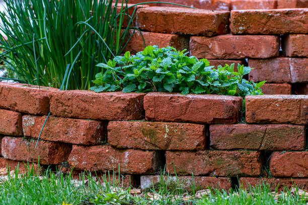 istock Brick circle for herbal garden 1471804900
