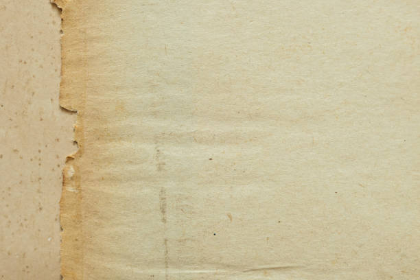 istock old vintage paper texture background, page for design 1471805059