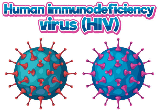 ludzki wirus niedoboru odporności (hiv) na białym tle - immunodeficiency stock illustrations