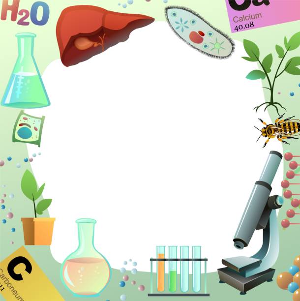 Chemistry picture frame around edge of picture. Round proportion. Science items picture. Study of living cells of plants, animals and humans. Isolated on white background. Vector. Chemistry picture frame around edge of picture. Round proportion. Science items picture. Study of living cells of plants, animals and humans. Isolated on white background. Vector perimeter formula stock illustrations