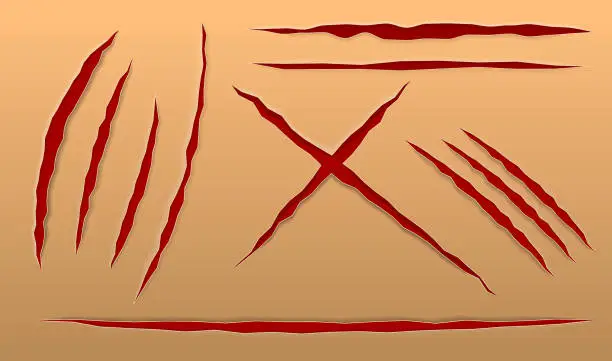 Vector illustration of claw scratches a