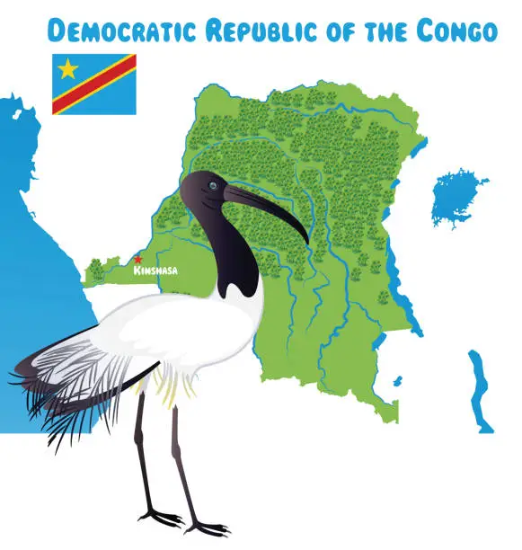 Vector illustration of Democratic Republic of the Congo and African Sacred Ibis