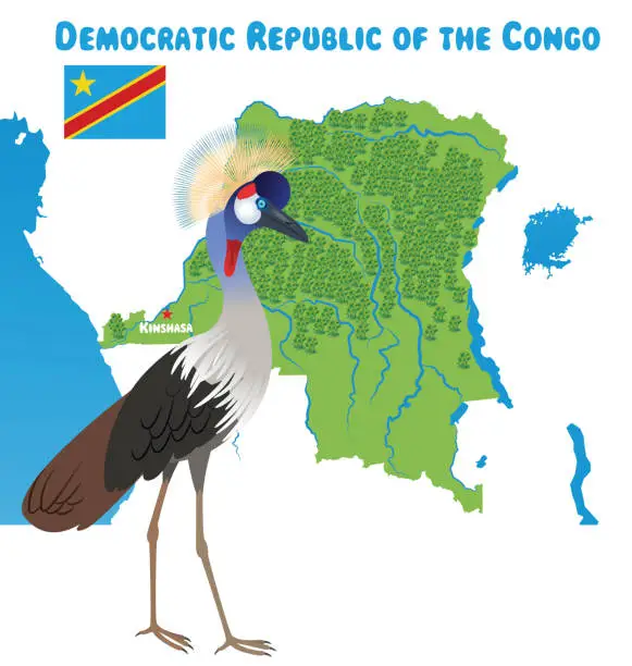 Vector illustration of Democratic Republic of the Congo and Grey Crowned Crane
