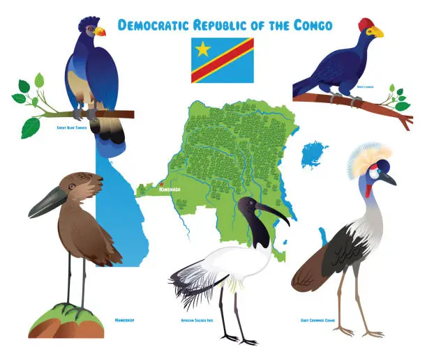 Vector illustration of Democratic Republic of the Congo and Birds
