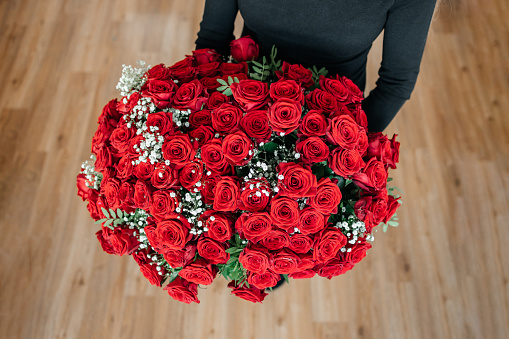 A huge bouquet of their red roses in the hands of a girl. Anniversary congratulations. Garden scarlet roses. Flower delivery.
