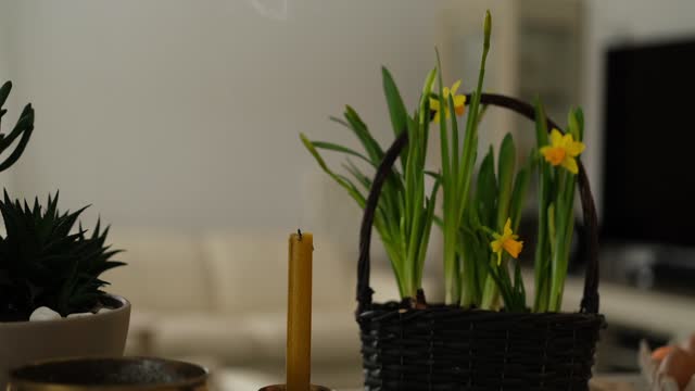 turning off candle on the background of daffodils basket at home