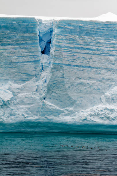 istock Antartica - Tabular Iceberg in Bransfield Strait 1471823679