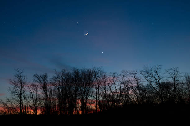 istock Planets in conjunction with young Moon above tree countryside silhouettes. 1471825304