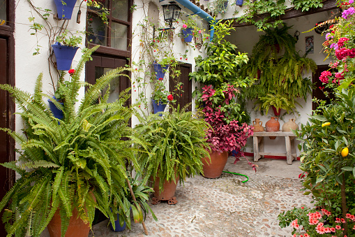 Andalusian house courtyard in Córdoba