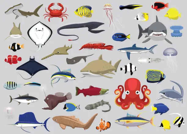 Vector illustration of Animal Fishes Sea Creatures Characters Cartoon Vector