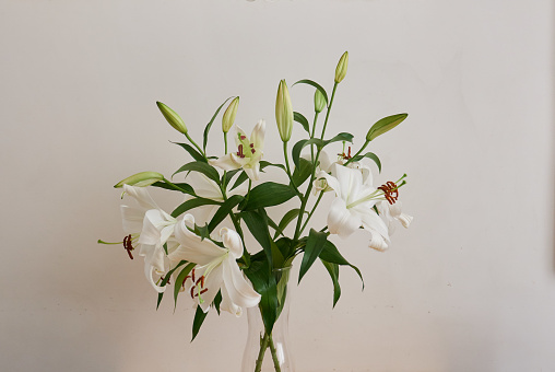 bouquet of flowers of white lilies