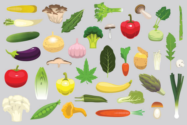 illustrations, cliparts, dessins animés et icônes de nourriture divers champignons légumes vert végétarien nutrition illustration vecteur - artichoke celery radish kohlrabi