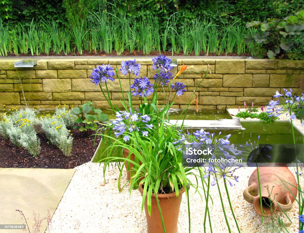 Gardendesign Gardendesign with stones, plants and water. African Lily Stock Photo