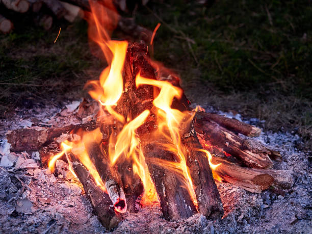 istock Close view at glowing charcoal and flame in barbecue grill 1471840066